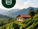 Finca El Mirador
